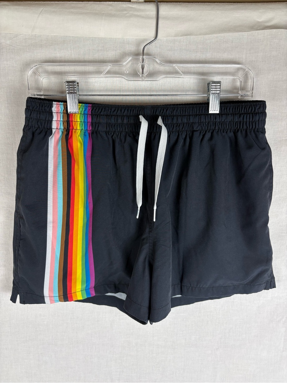 Chubbies The Full Spectrums 4" Classic Swim Trunks Black Rainbow Pride Stripe